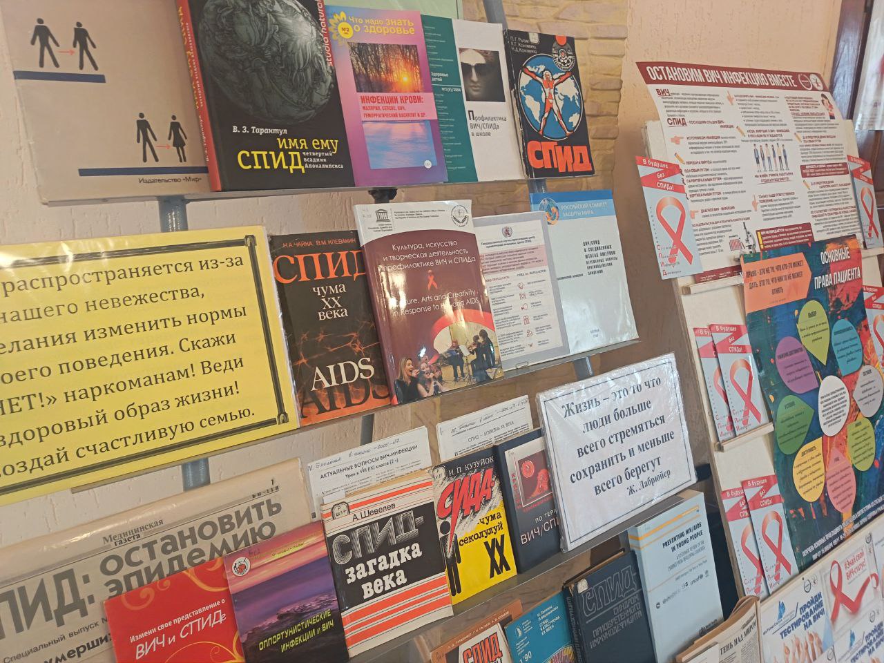 photo 5294038133311738210 y