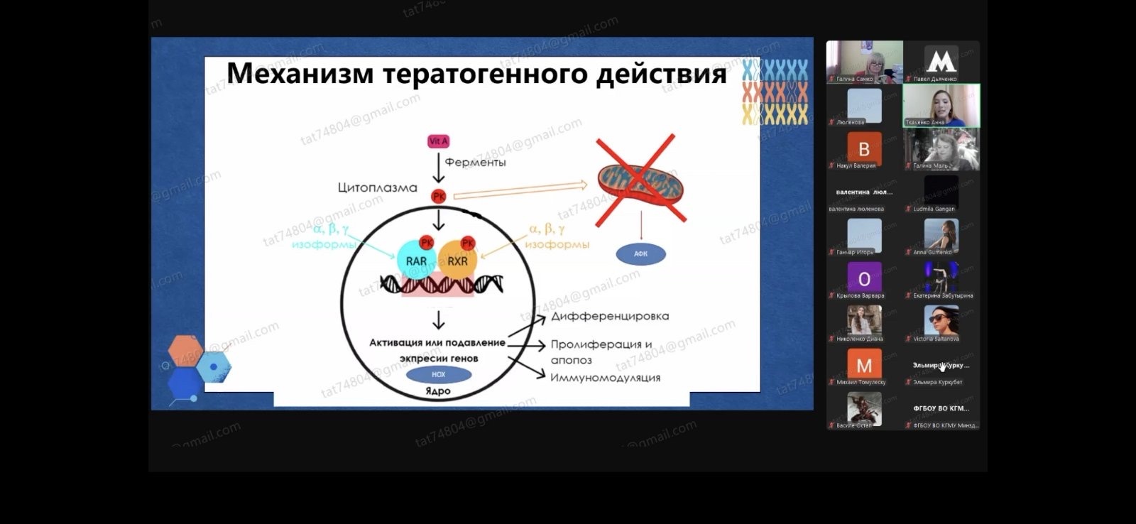 изображение viber 2025 05 27 15 45 36 858