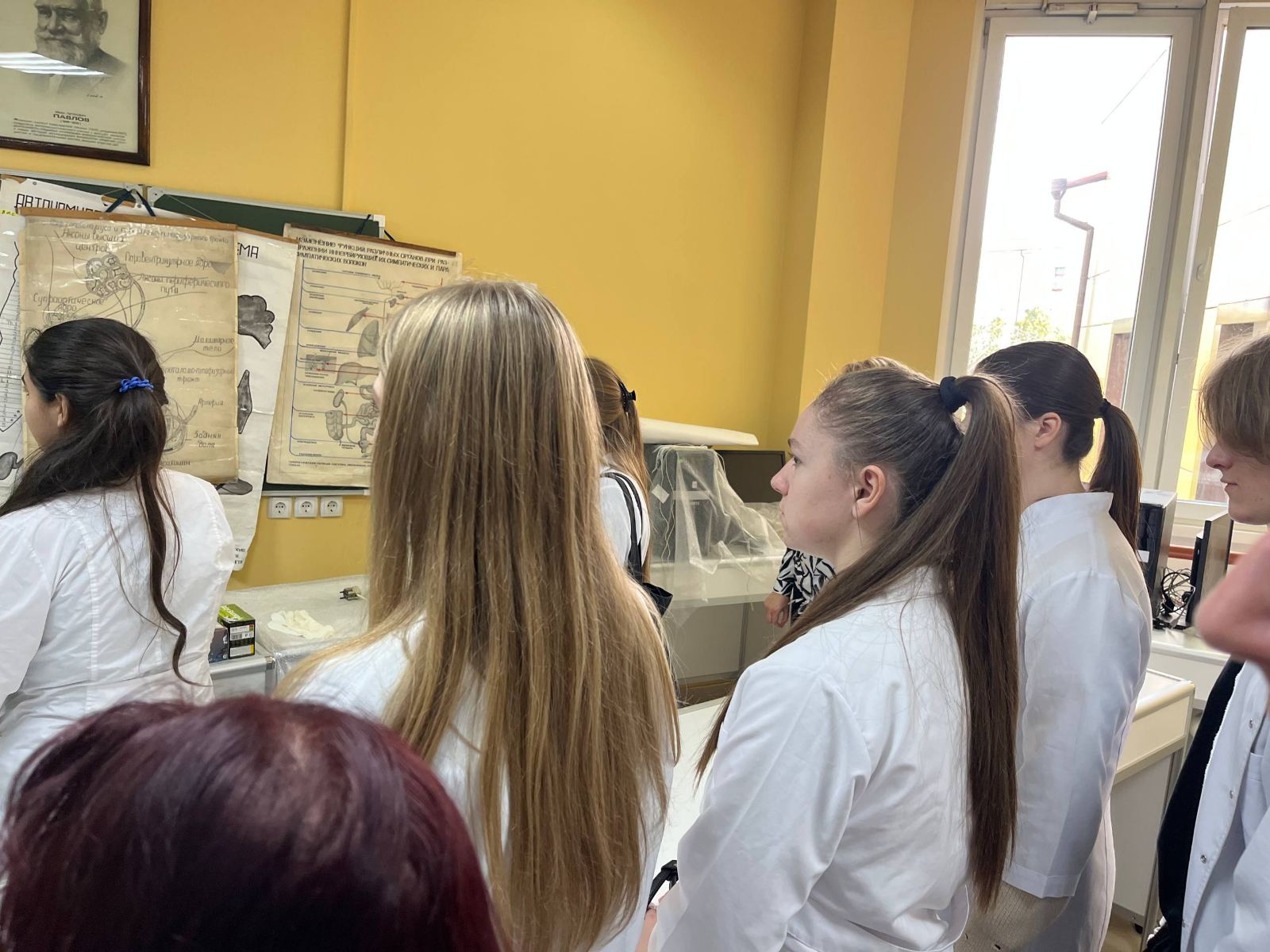 изображение viber 2025 10 31 13 26 29 315