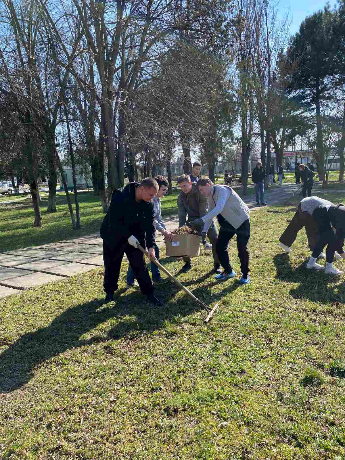 изображение viber 2026 03 26 18 17 23 522