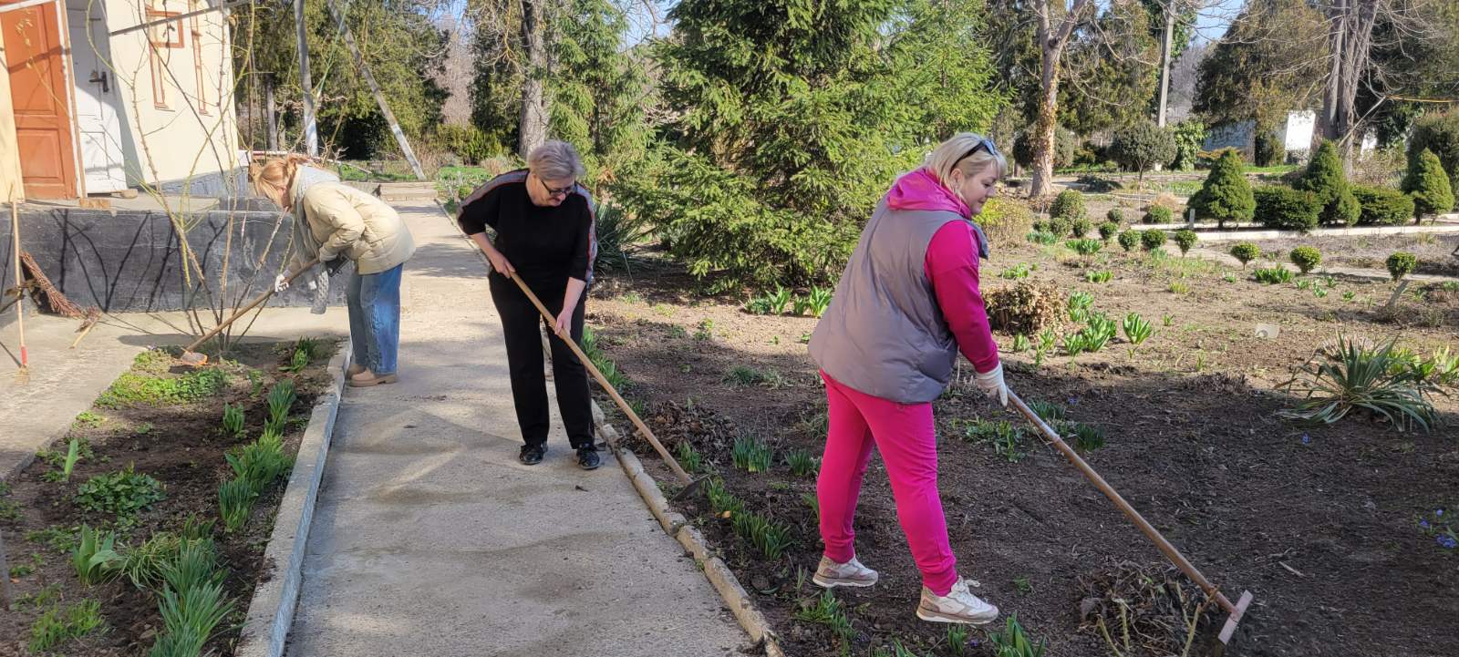 изображение viber 2026 03 27 10 25 17 414