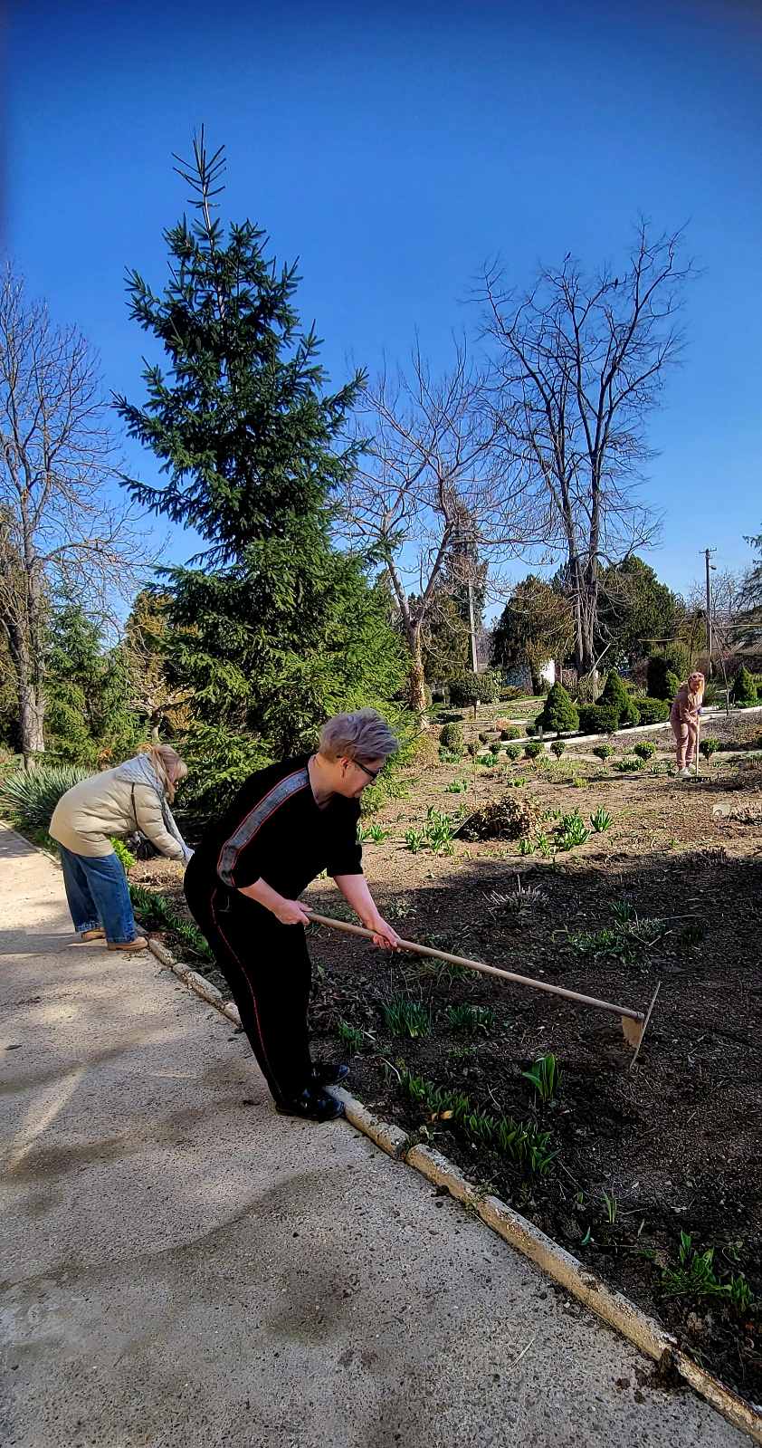 изображение viber 2026 03 27 10 27 25 887