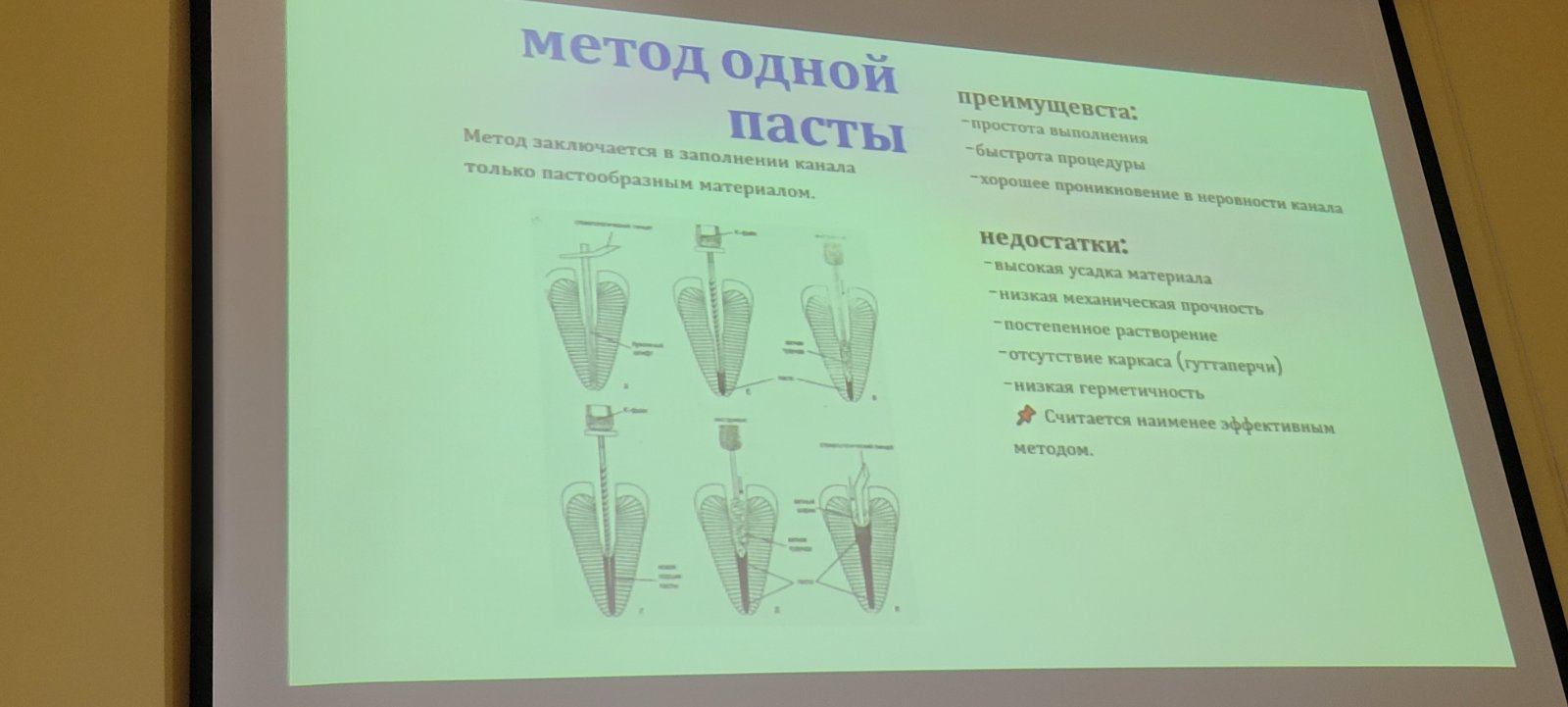 изображение viber 2026 04 07 15 24 59 809